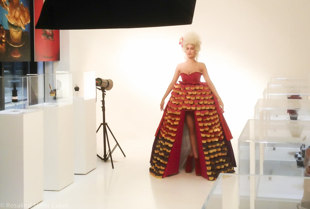 Cupcake Exhibition with Cupcake Dress for Food Network