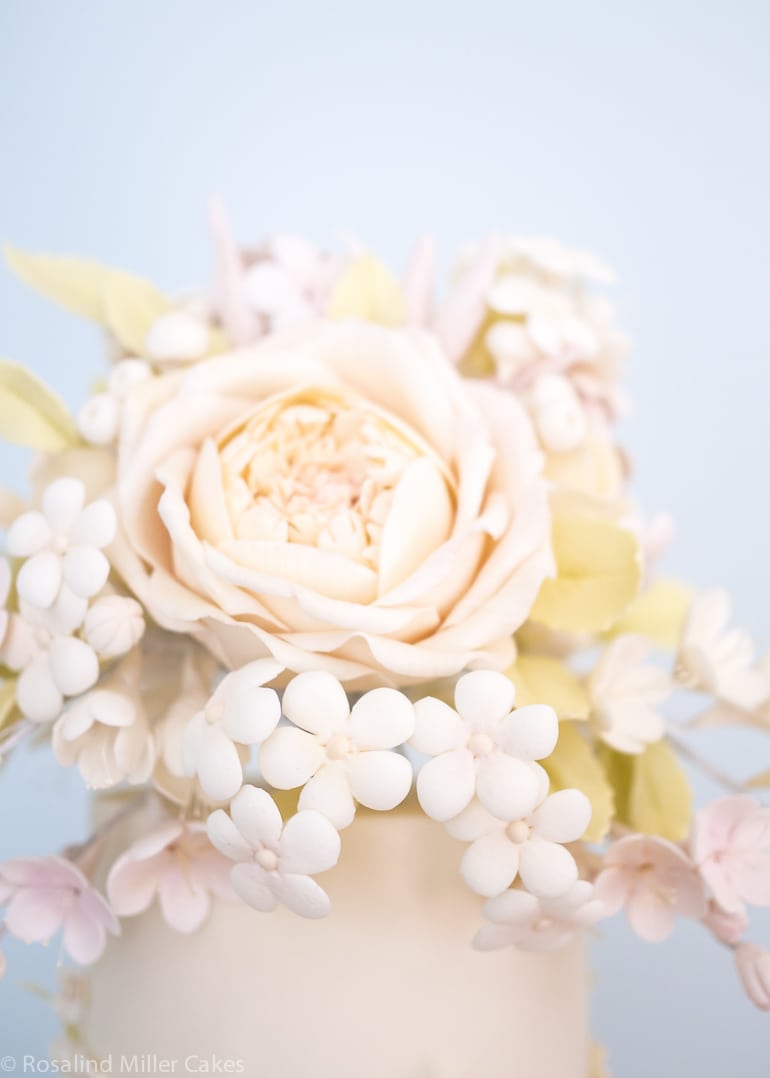 Bees and Blossoms Wedding Cake
