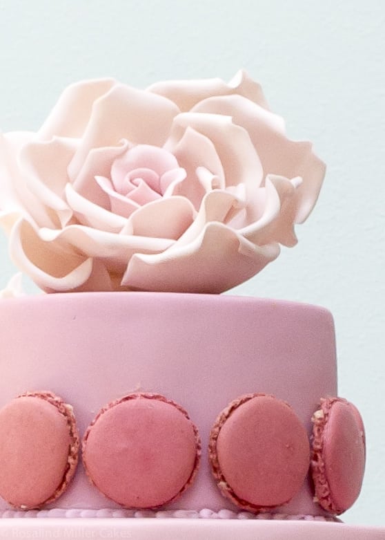 Ombre Macarons Wedding Cake