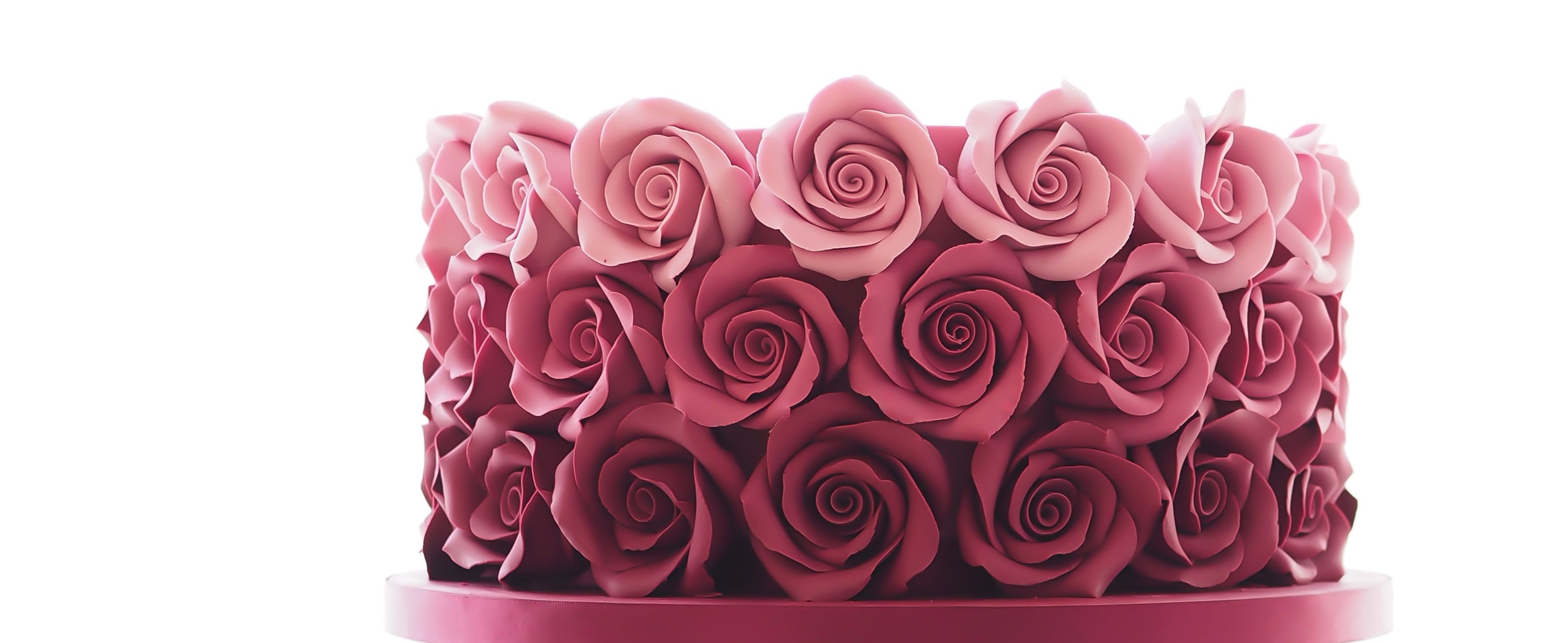 Ombre Roses Celebration Cake